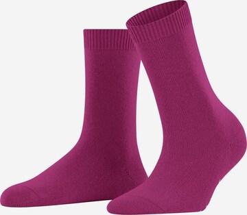 FALKE Socken in Lila: predná strana