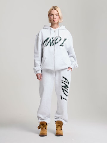 Effilé Pantalon AND1 en gris