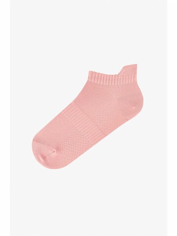 Penti Sukapöiad 'PENTI Fit Back 2er-Pack Sneaker-Socken', värv segavärvid