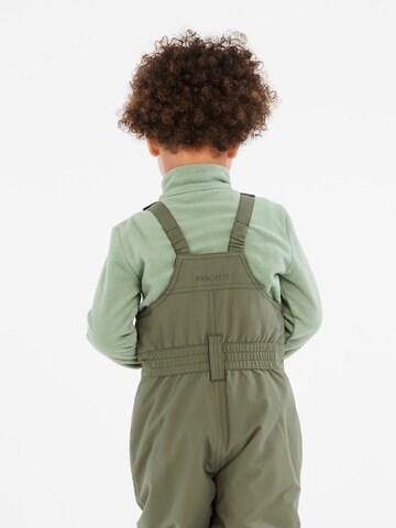 PROTEST Regular Sports trousers 'NEUTRAL TD' in Green