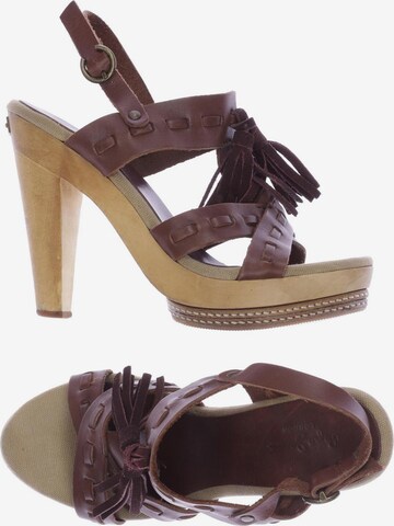 Pepe Jeans Sandals & High-Heeled Sandals in 38 in Brown: front