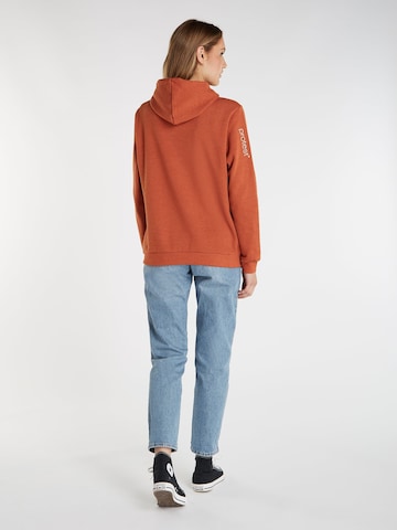 PROTEST Sweater 'CLASSIC LOGO HOODY' in Brown