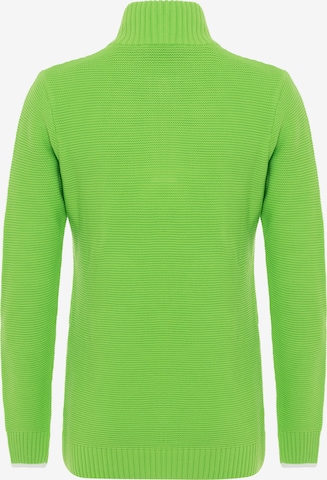 DENIM CULTURE Sweter 'DINA' w kolorze zielony