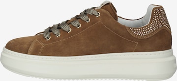 Nero Giardini Sneaker in Braun