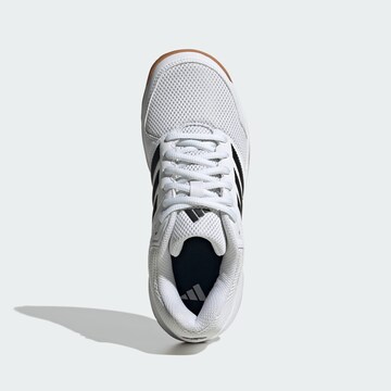 Chaussure de sport 'Speedcourt' ADIDAS PERFORMANCE en blanc