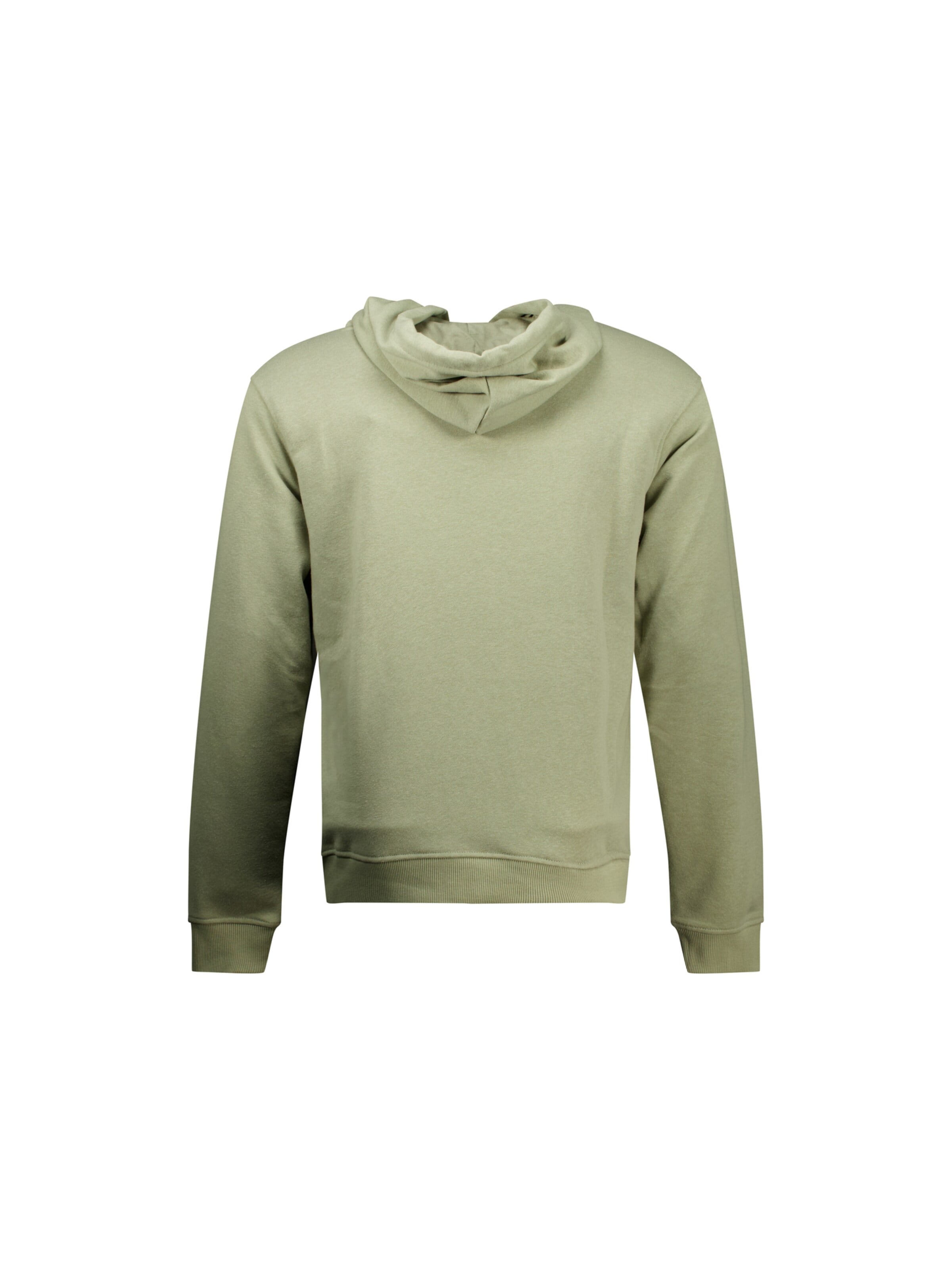 Deeluxe Sweatshirt in Groen