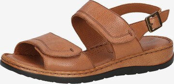 CAPRICE Sandals in Brown: front