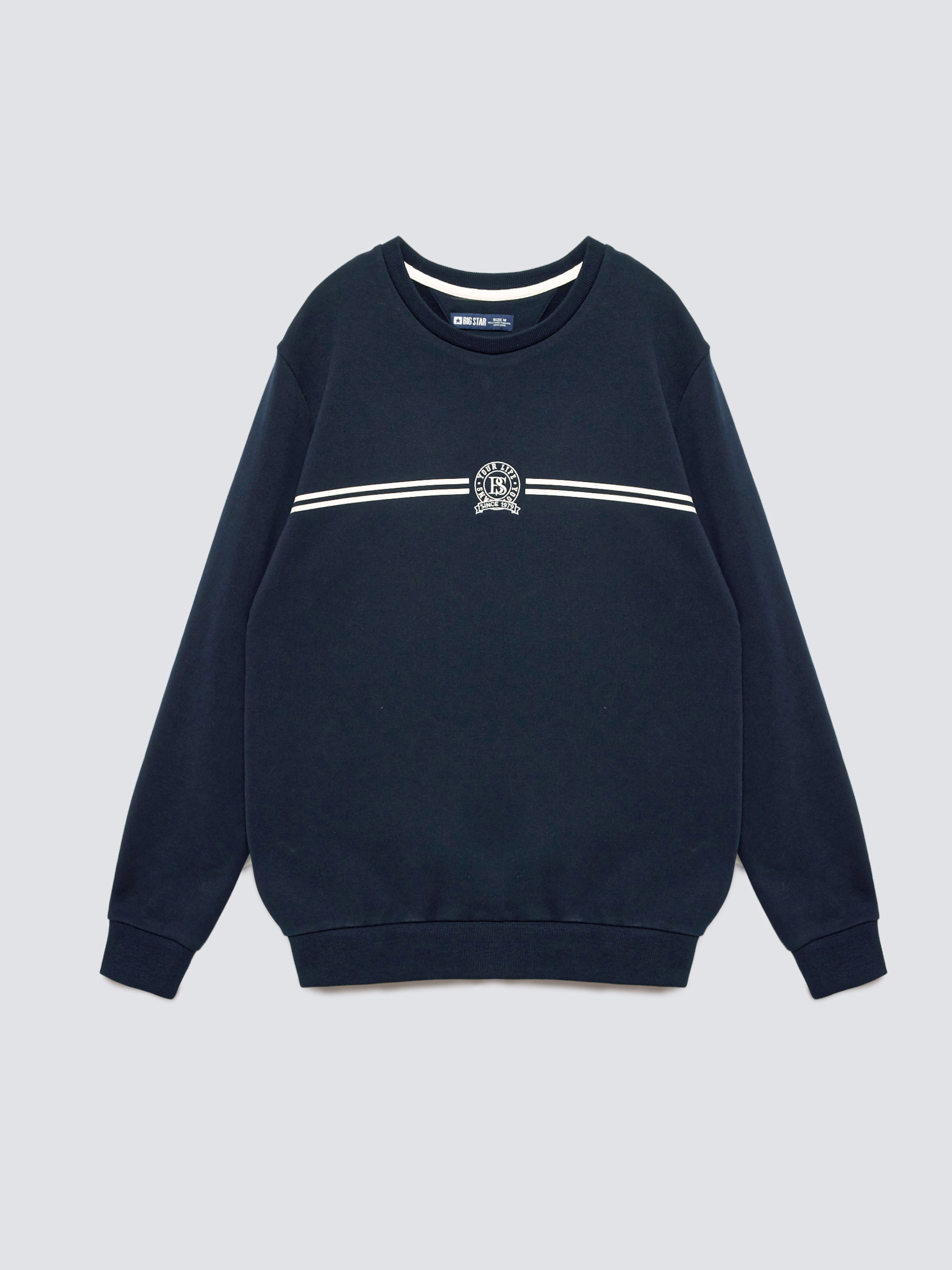 Felpa 'DANIEL' di BIG STAR in blu: frontale