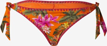 Banana Moon Bikinové nohavičky 'DIMKA FAGAPEA' - oranžová: predná strana