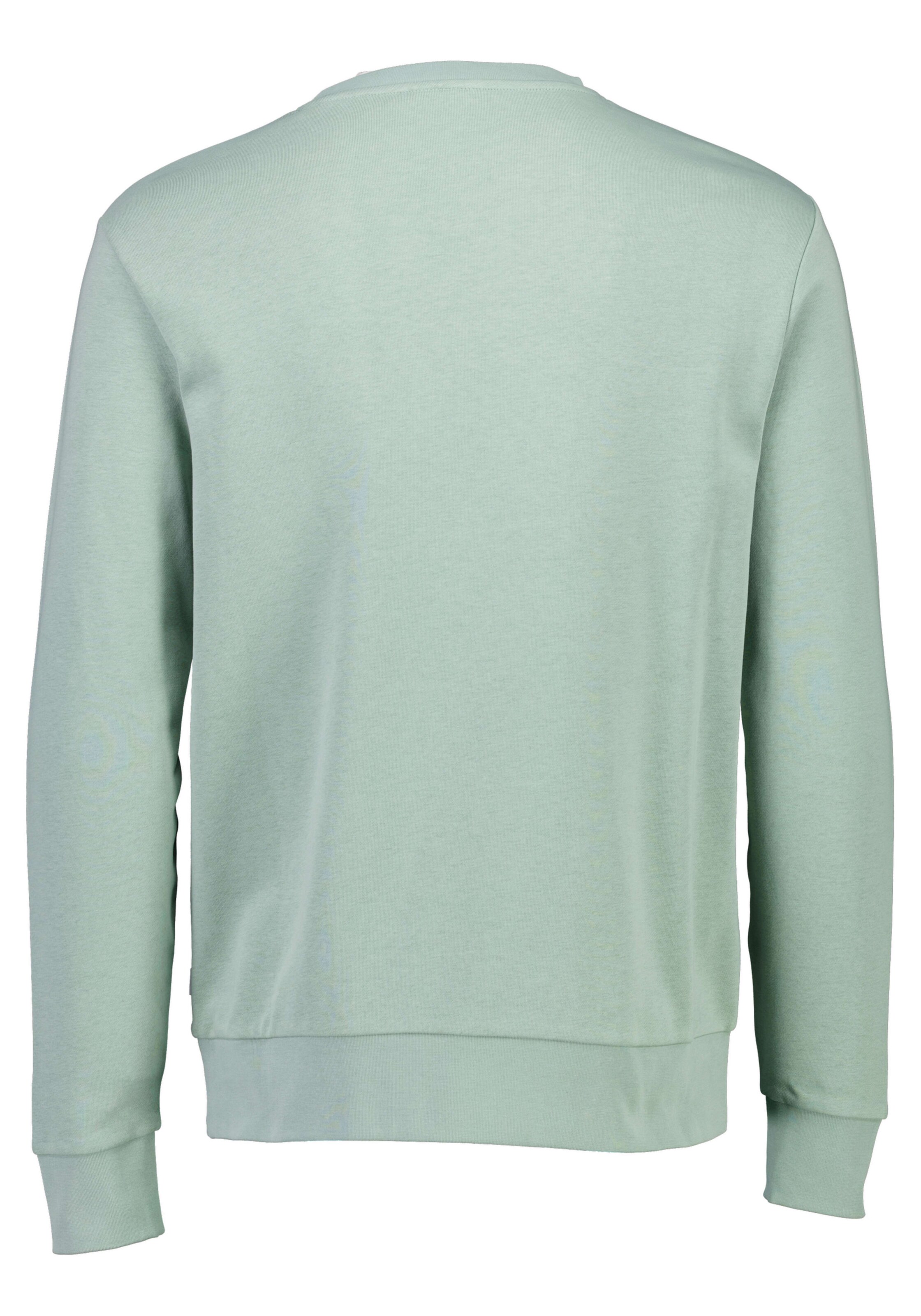 Lindbergh Sweatshirt in Green
