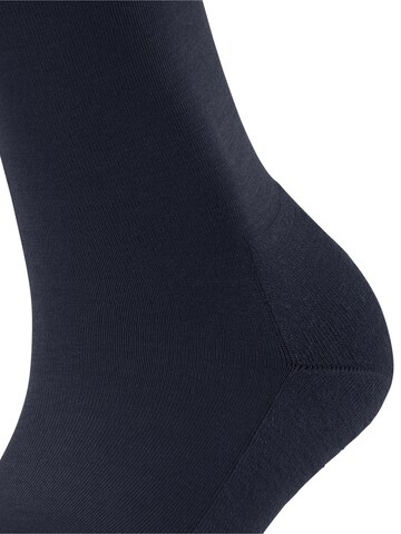 FALKE Socks 'ClimaWool' in Blue
