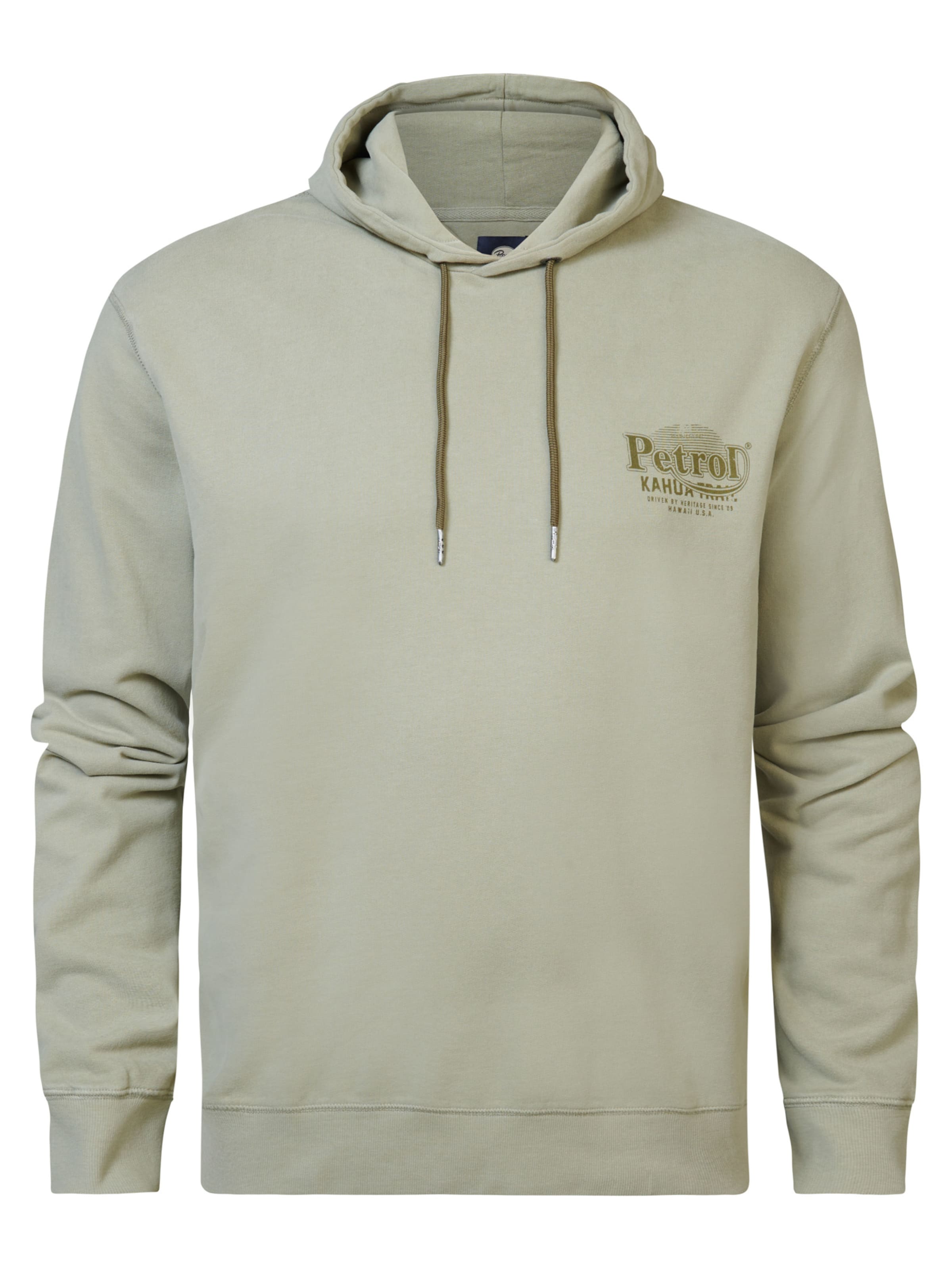 Petrol Industries Sweatshirt 'Aquatic' in Grün: Vorderseite