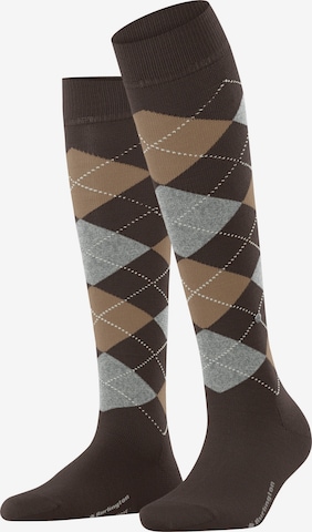 BURLINGTON Over the Knee Socks 'Marylebone' in Brown: front
