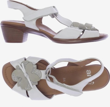 ARA Sandals & High-Heeled Sandals in 36,5 in White: front