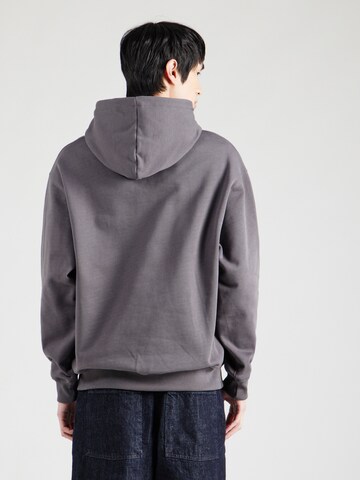 Felpa 'ARTICE' di ANNARR in grigio
