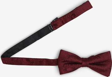 OLYMP Bow Tie in Red