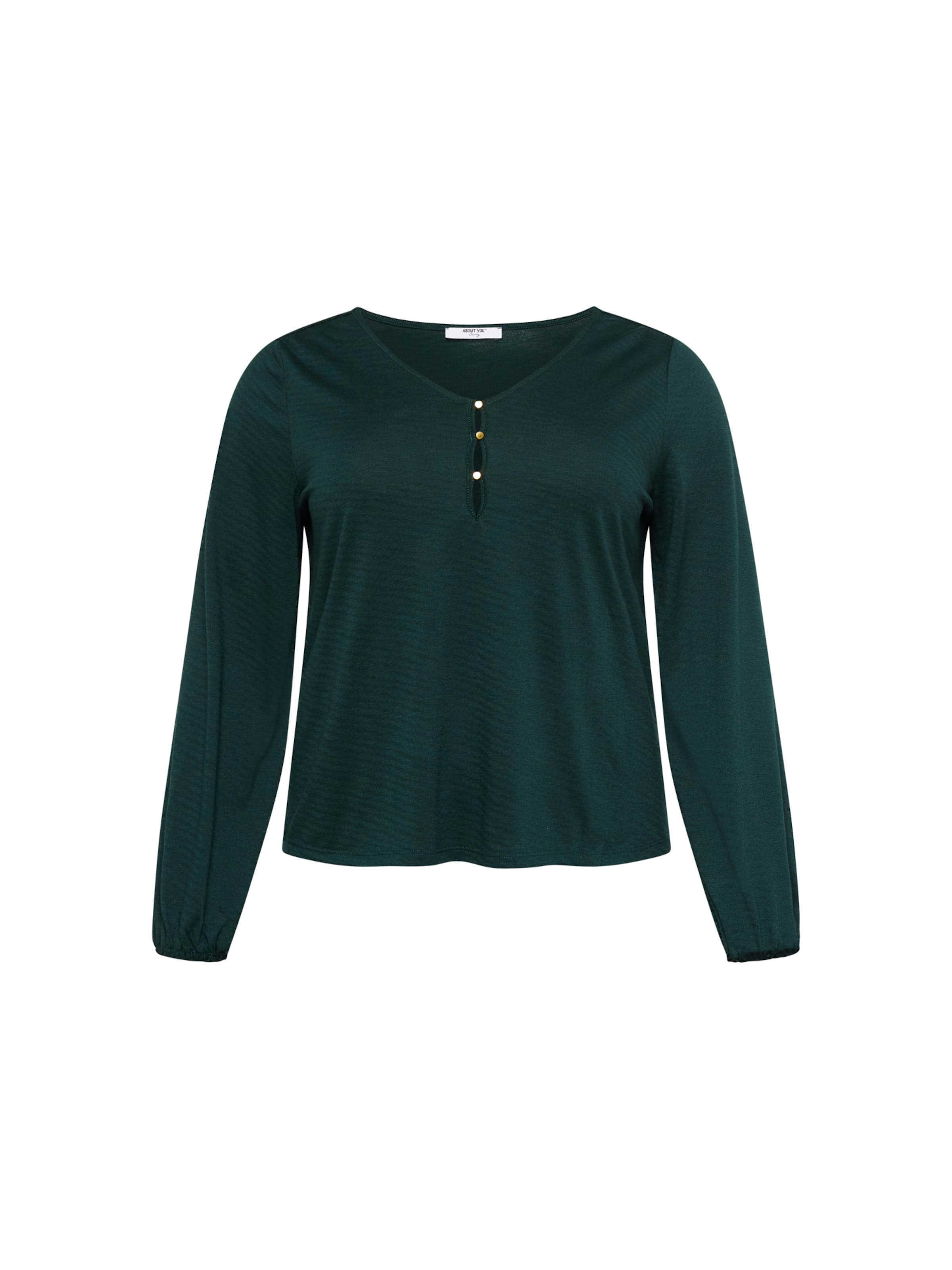 Maglietta 'Hedda' di ABOUT YOU Curvy in verde: frontale