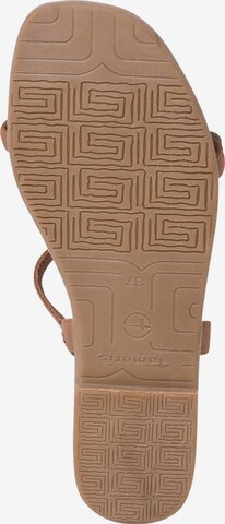 TAMARIS T-Bar Sandals in Brown