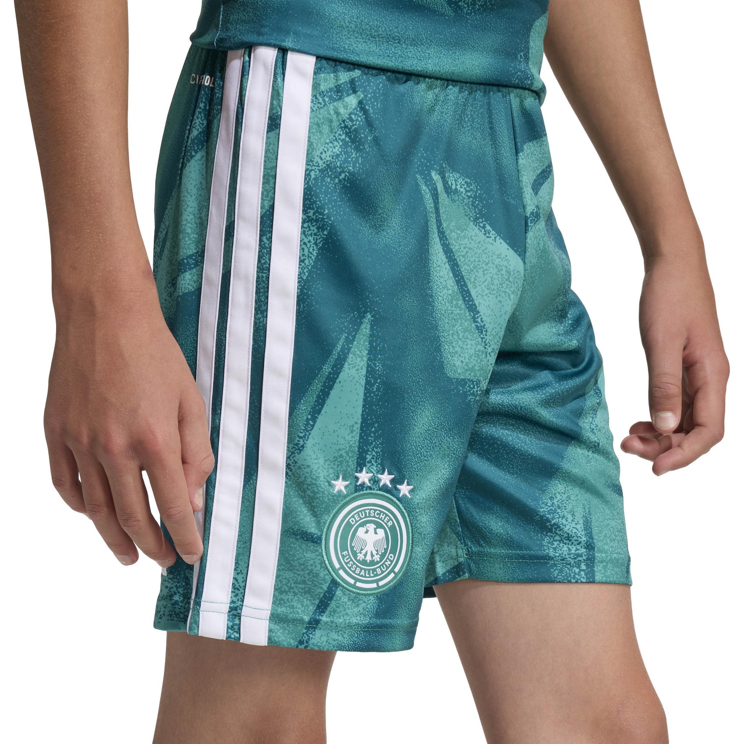 žalia ADIDAS PERFORMANCE Standartinis Sportinės kelnės 'DFB Torwart Home'
