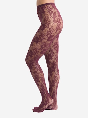 ETAM Panty's 'ORPHEE' in Rood