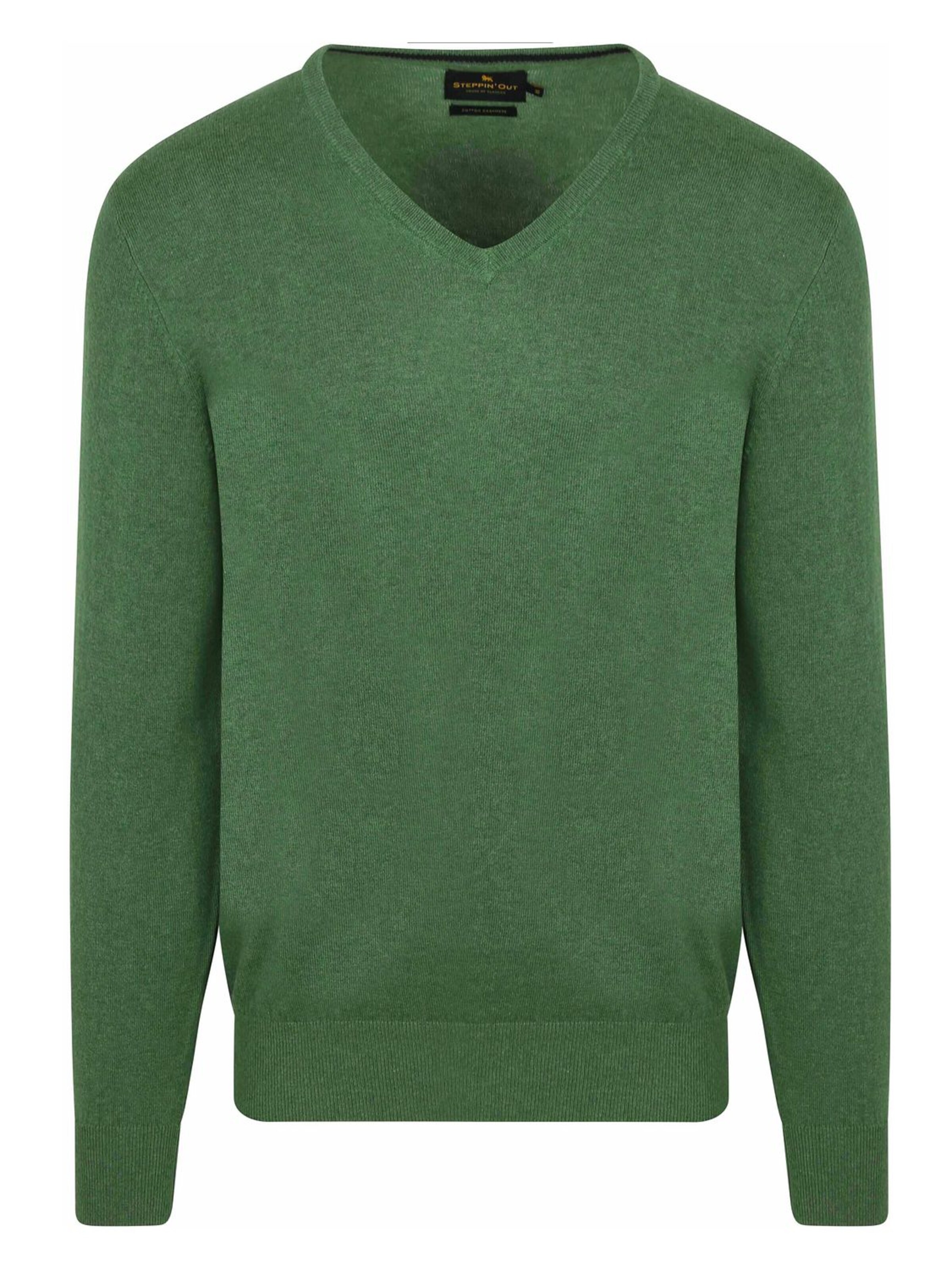 Steppin' out Sweater in Green: front
