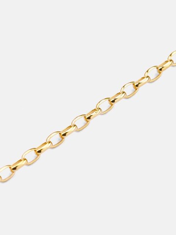 Vanlere Kette‌‌‌‌‌‌‌‌‌ in Gold