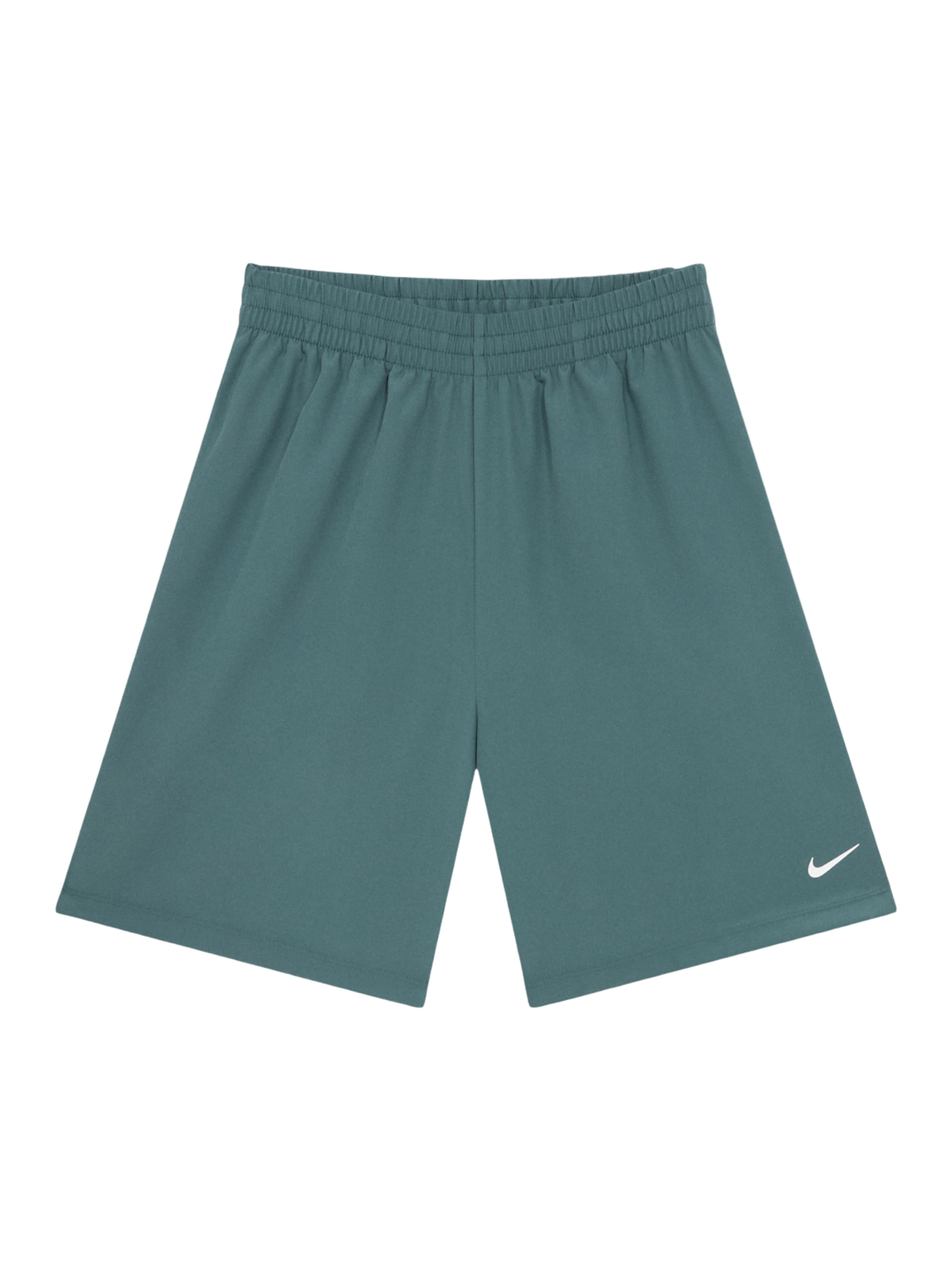 Regular Pantaloni sport de la NIKE pe albastru: față