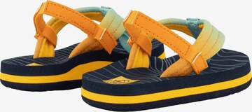 REEF Beach & Pool Shoes 'Little Ahi' in Mixed colors