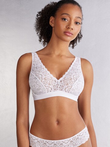 INTIMISSIMI Triangle Bra in White: front