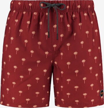 Shorts de bain Shiwi en marron : devant