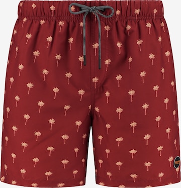 Shiwi - Calções de banho em castanho: frente