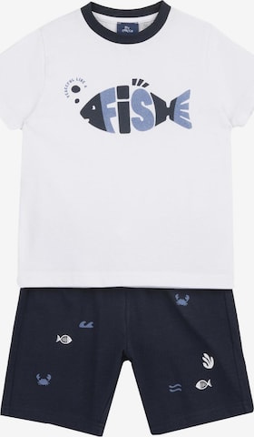 Chicco Setti värissä sininen: etupuoli