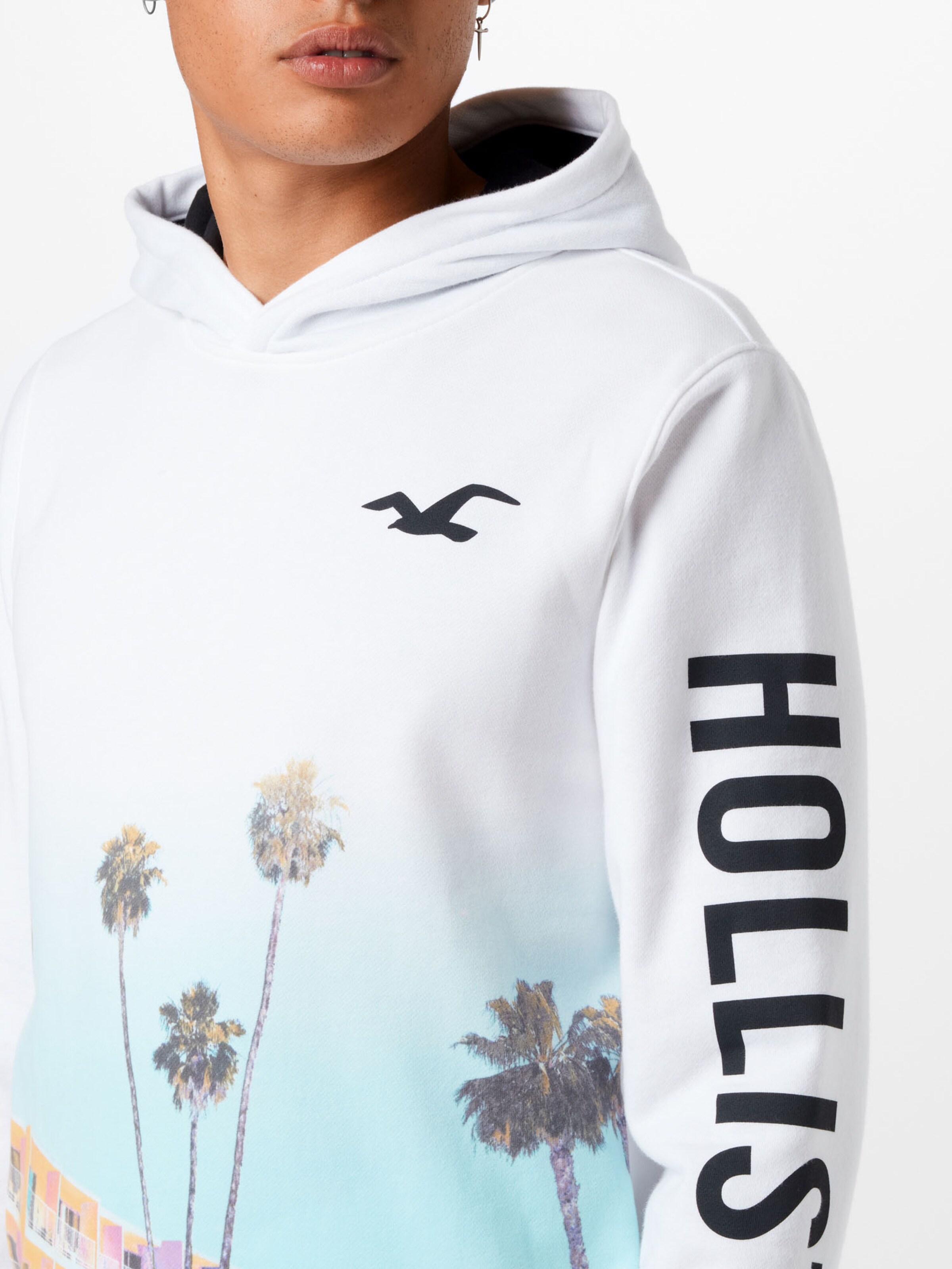 Männer Sweat HOLLISTER Sweatshirt in Offwhite - LP48245 Männer Sweat HOLLISTER Sweatshirt in Offwhite - LP48245