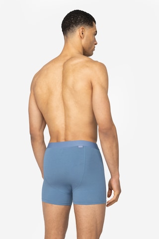A-dam Boxer shorts in Blue