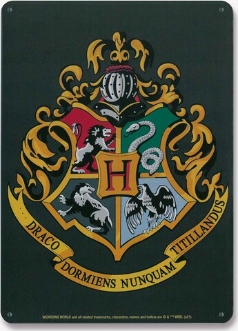 LOGOSHIRT Blechschild 'Harry Potter - Hogwarts' in Mischfarben: predná strana