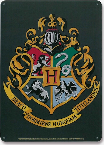 LOGOSHIRT Blechschild 'Harry Potter - Hogwarts' in Mischfarben: predná strana