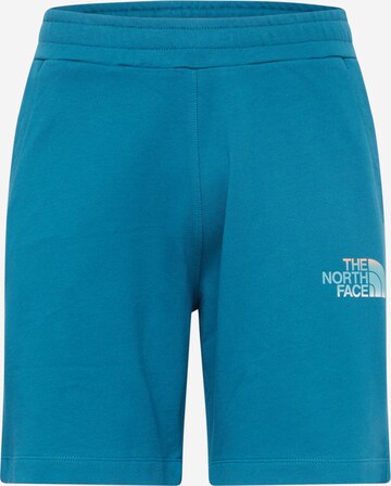 THE NORTH FACE Regular Pants in Blue: front