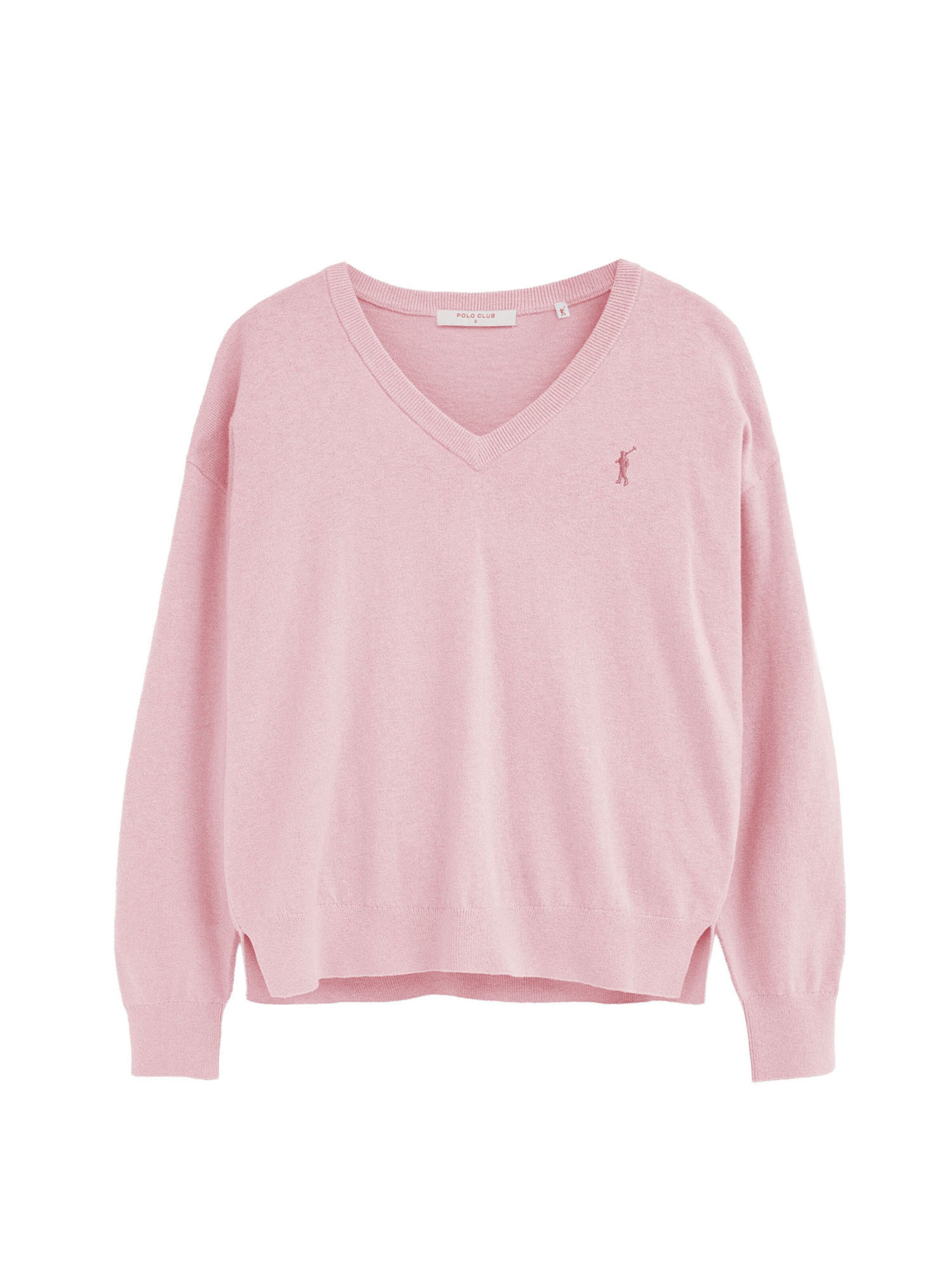 Polo Club Pullover in Mischfarben