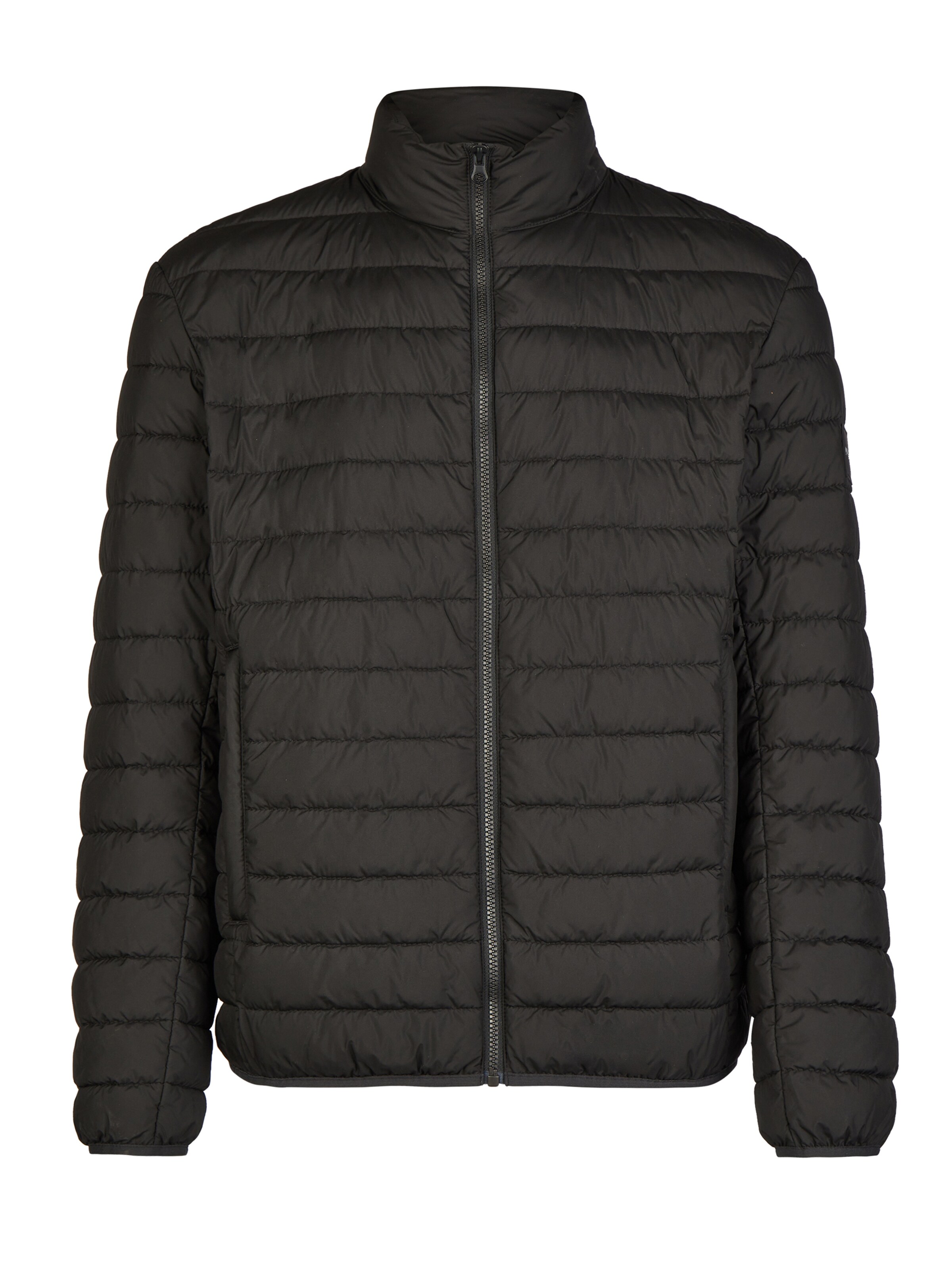 CALAMAR Tussenjas in Zwart: voorkant