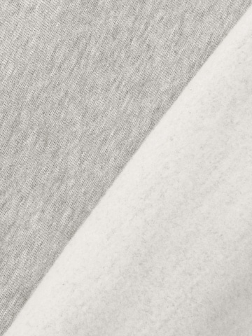ENRAGE Sweatshirt 'THE BLANC' in Grau