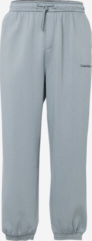 Effilé Pantalon 'INSTITUTIONAL' Calvin Klein Jeans en gris : devant