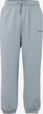Calvin Klein Jeans Pants 'INSTITUTIONAL' in Grey: front
