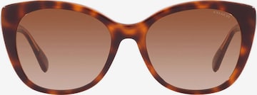 Lunettes de soleil COACH en marron