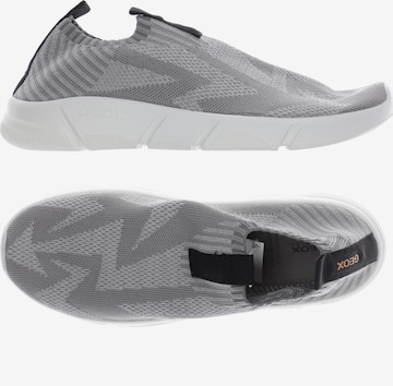 GEOX Sneakers & Trainers in 39 in Grey: front