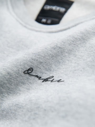 Sweat-shirt Ombre en gris