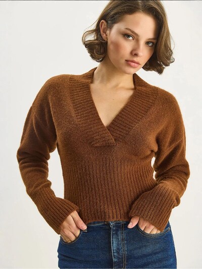 Bianco Lucci Pull-over 'Pullover' en S-M en camel, Vue avec produit
