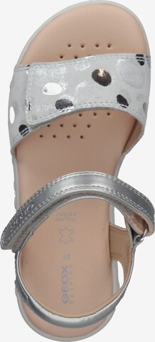 GEOX Sandals in Silver
