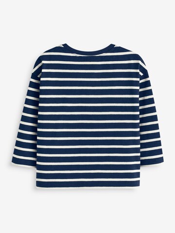 Next Shirt in Mischfarben