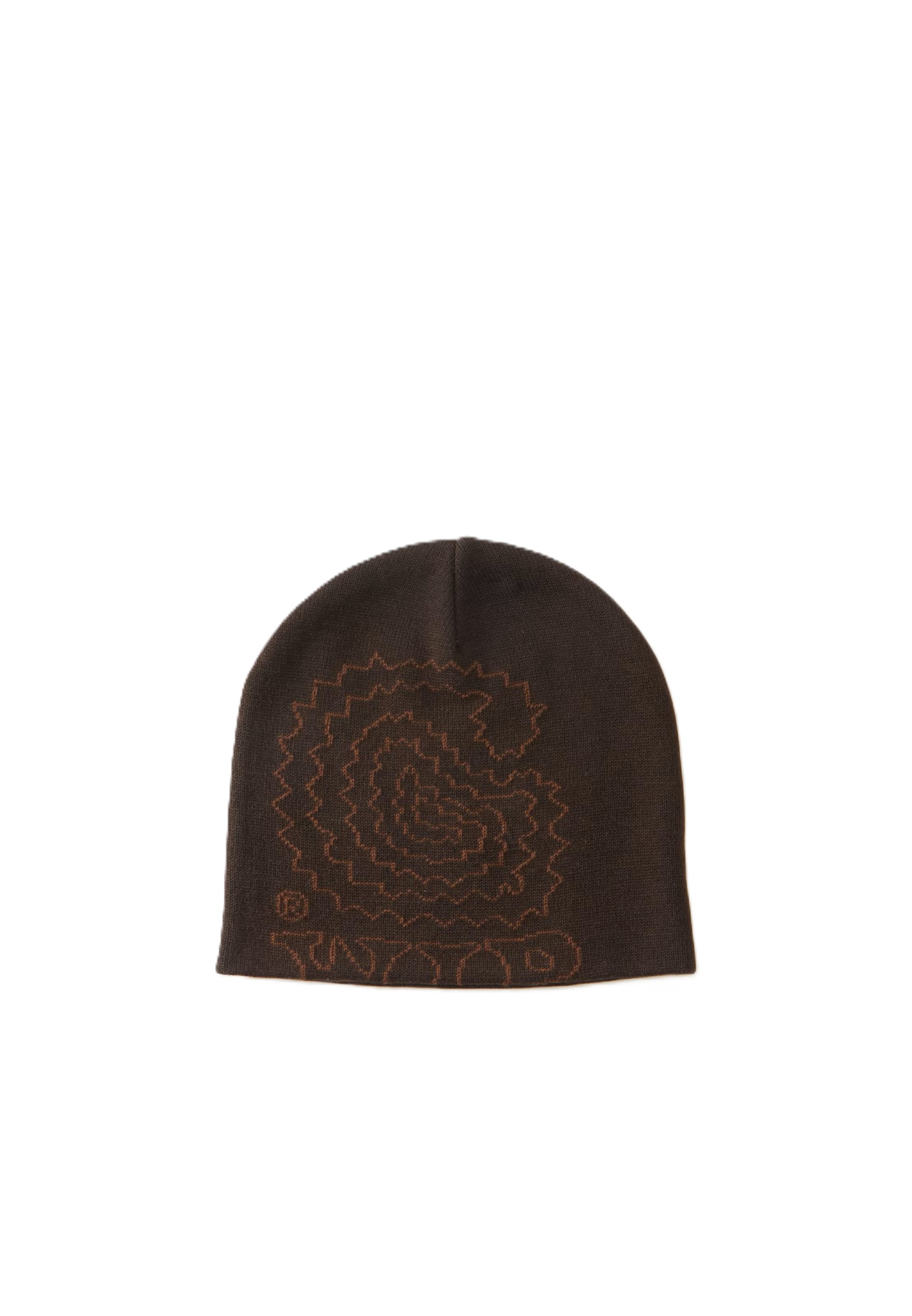 Berretto 'Limn' di Carhartt WIP in marrone: frontale