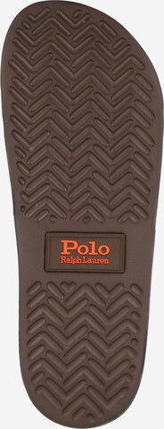 Mule Polo Ralph Lauren en marron